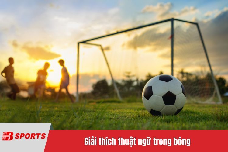 Giải thích thuật ngữ trong bóng
