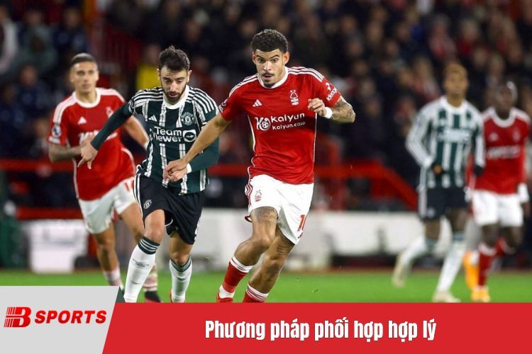 Phương pháp phối hợp hợp lý